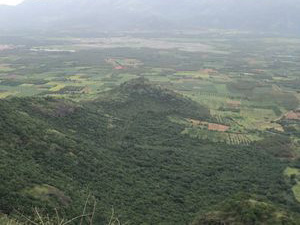 Green valley and streams at Pandikuzhi near Thekkady