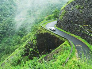 Rolling green meadows and tea plantations at Vagamon