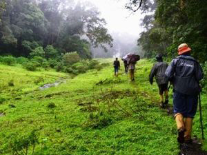 Hikers on the border hiking trail above the Periyar Tiger Reserve
