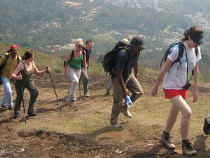 Misty grassland viewpoint on the Thekkady Cloud Walk
