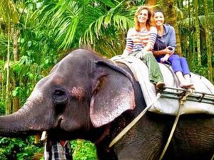 Visitors riding an elephant through the forest in Thekkady