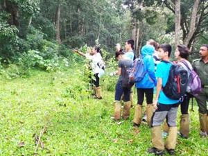 Trekkers on a green nature walk trail in Thekkady