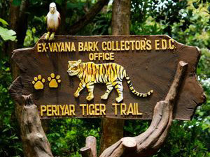 Trekking group on the Periyar Tiger Trail expedition